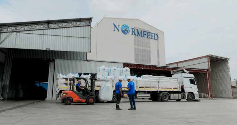 Norfeed revize.00_00_38_19.Still022-min